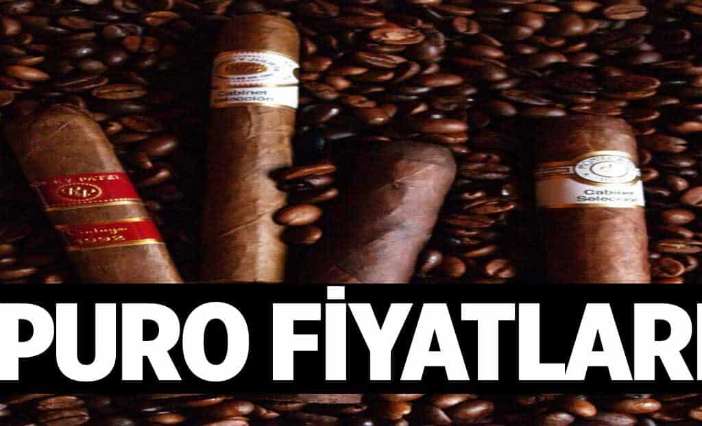 Puro Fiyatlari 1024x622Jys.jpg