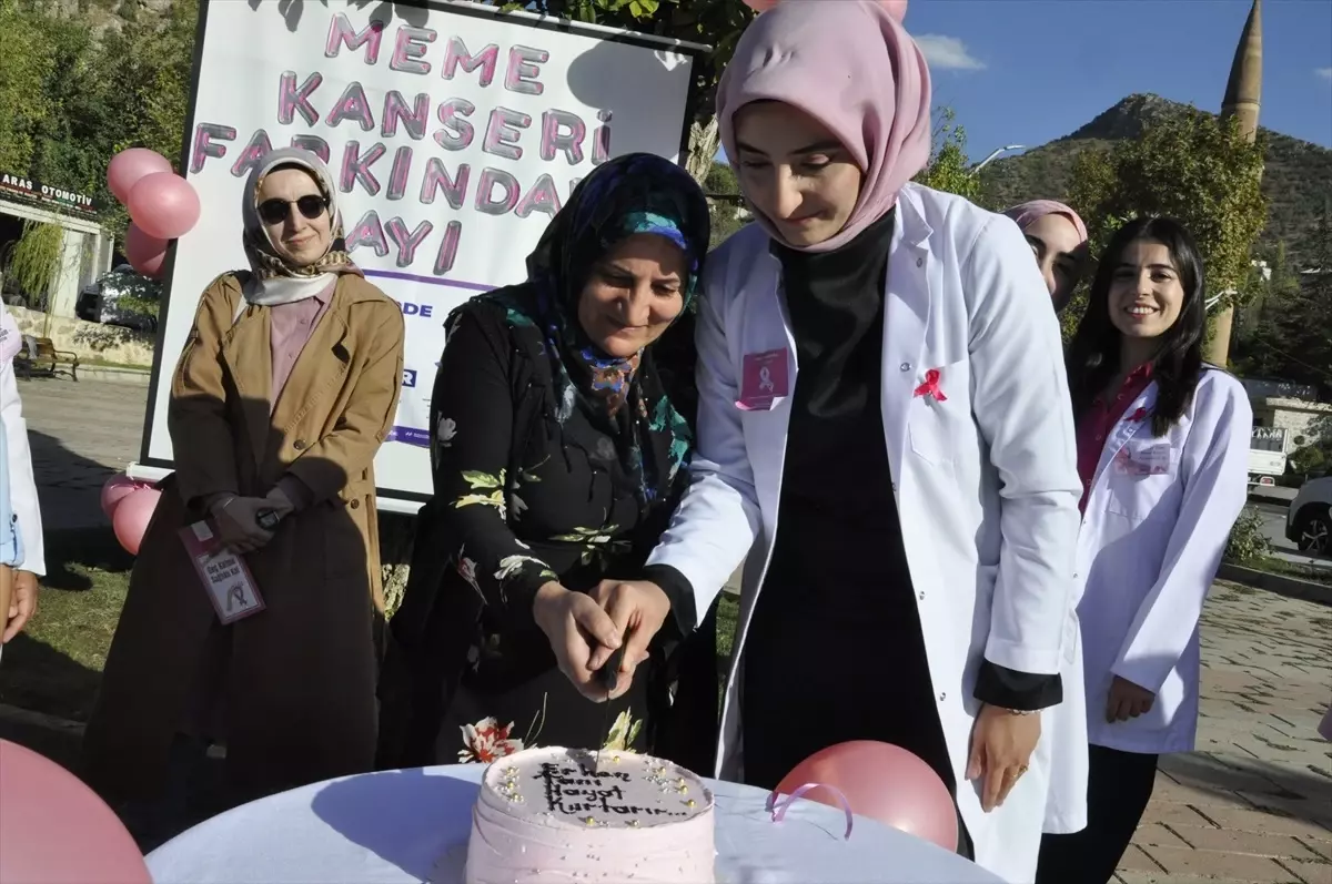 meme kanseri farkindalik etkinligi ARETPHq6.jpg