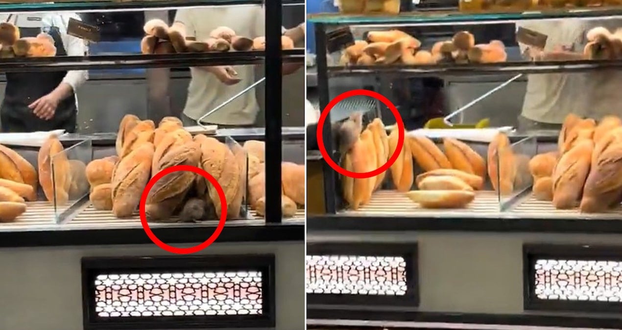 firinda cekilen bu goruntuyu paylasmamasi icin 420 bin lira teklif edildi YuXx6tay.jpg